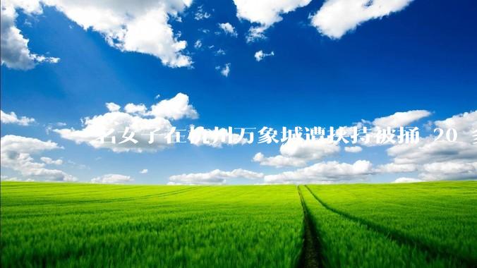 一名女子在杭州万象城遭挟持被捅 20 多刀，隆胸***体救了一命，这反映出哪些公安系统的问题？