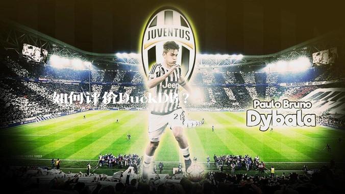 如何评价DuckDB?