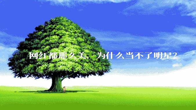 网红都那么美，为什么当不了明星？