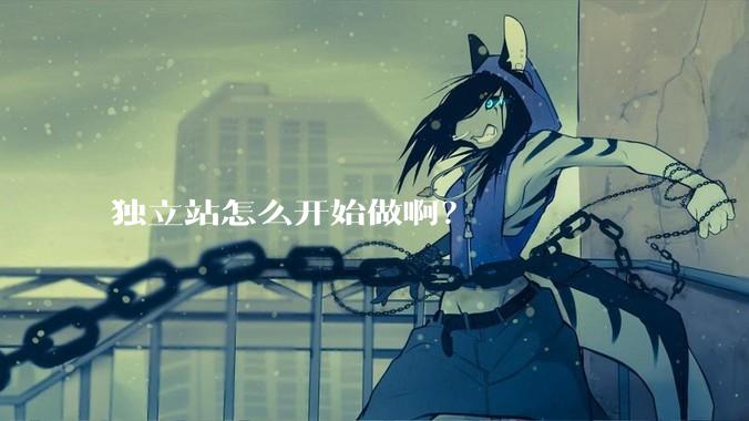 独立站怎么开始做啊？