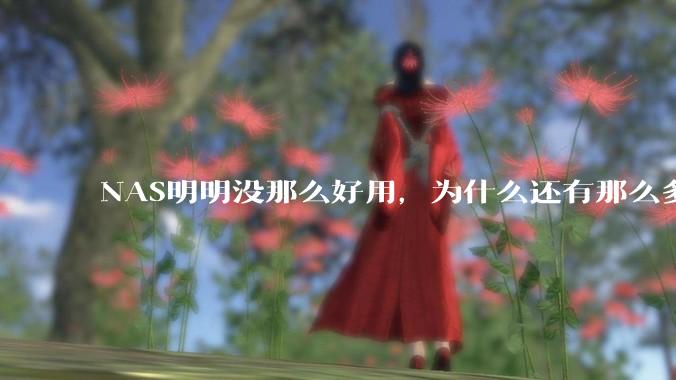 NAS明明没那么好用，为什么还有那么多人坚持选择使用？